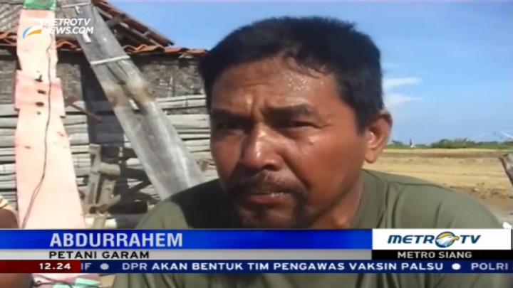 Harga Garam Anjlok, Petani Beralih Jadi Nelayan