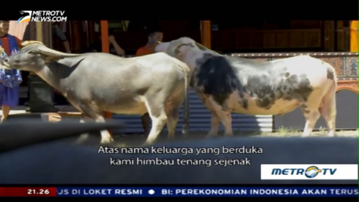 Saleko, Pusaka Tanah Toraja (3)