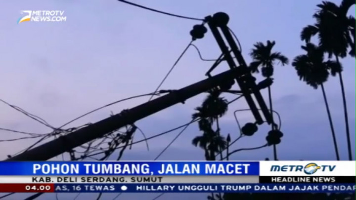 Pohon dan Tiang Listrik Tumbang Diterjang Angin