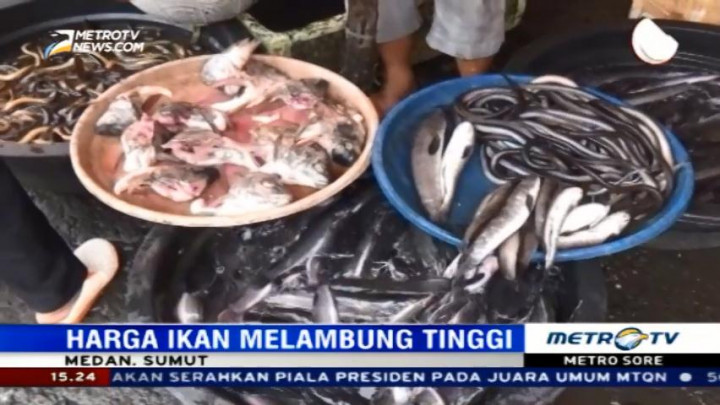 Harga Ikan di Medan Melambung Tinggi