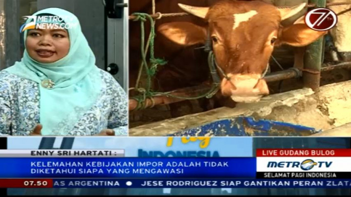 Lagi, Impor Daging Sapi (2)