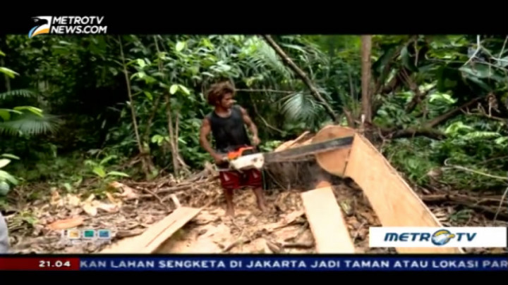 Pembalakan Lestari di Sawendui (1)