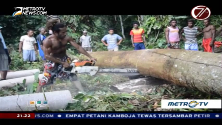 Pembalakan Lestari di Sawendui (3)