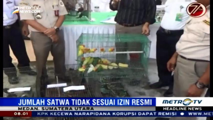 Balai Karantina Pertanian Medan Gagalkan Penyelundupan Satwa Ilegal