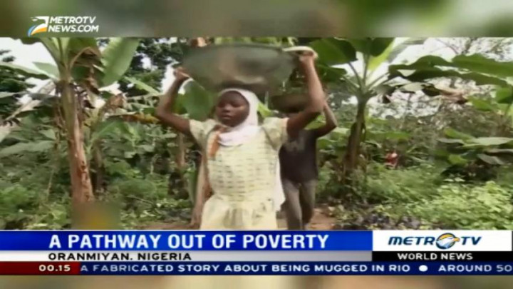Cocoa Farming Helps Nigerians Move Out of Poverty