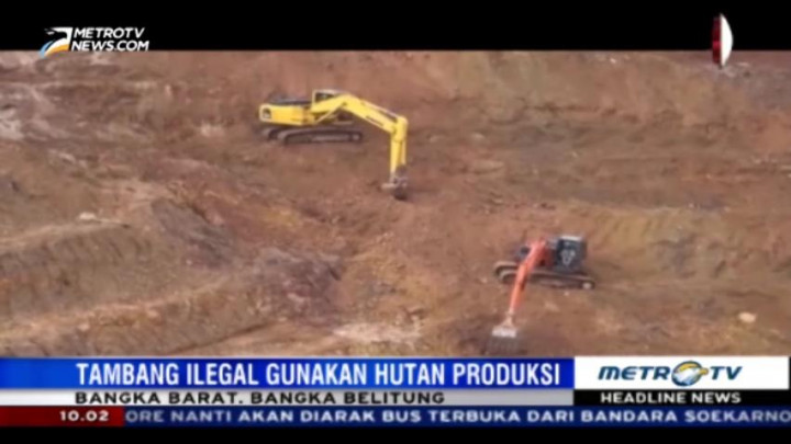 Tambang Ilegal Rambah Hutan Produksi Bangka Belitung