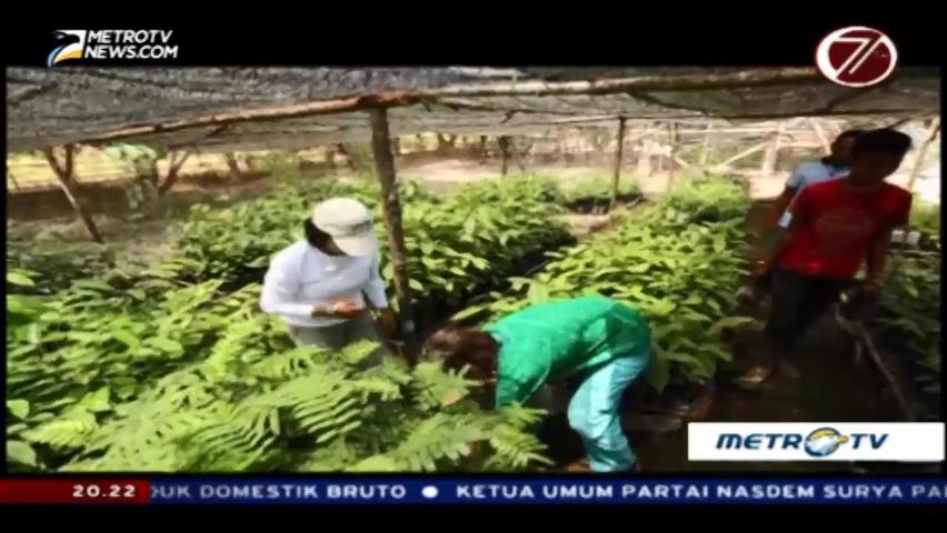 Dokter 'Plus-plus' (2)