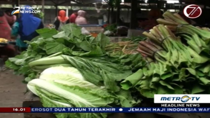 Harga Sayuran Melambung Akibat Erupsi Sinabung