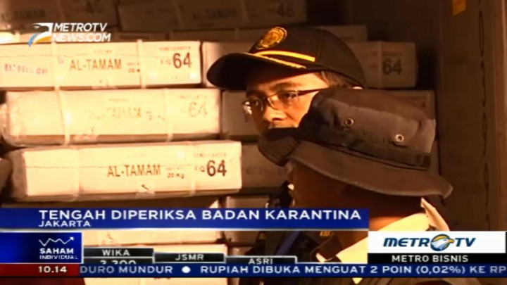 Pemerintah akan Jual Daging Kerbau Impor Asal India