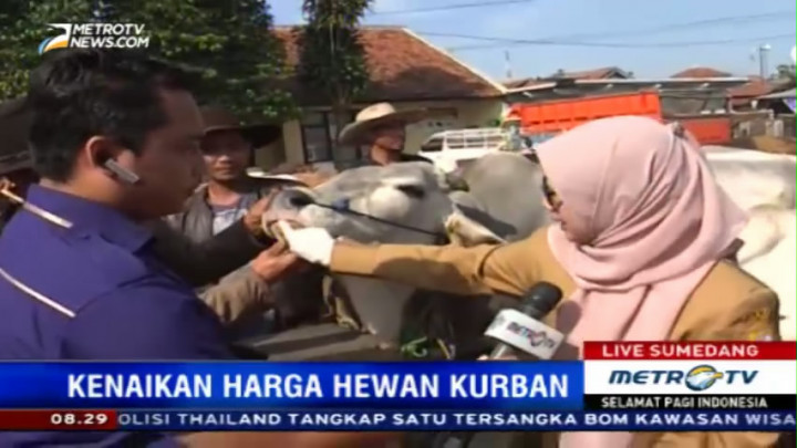 Begini Tips Memilih Hewan Kurban