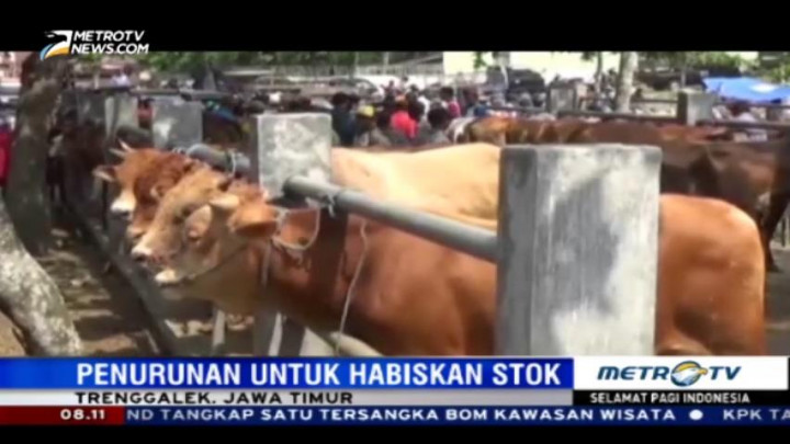 Beda dengan Daerah Lain, Harga Hewan Kurban di Daerah Ini Malah Turun