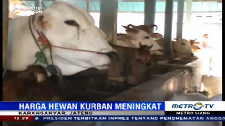 Harga Hewan Kurban di Karanganyar Naik