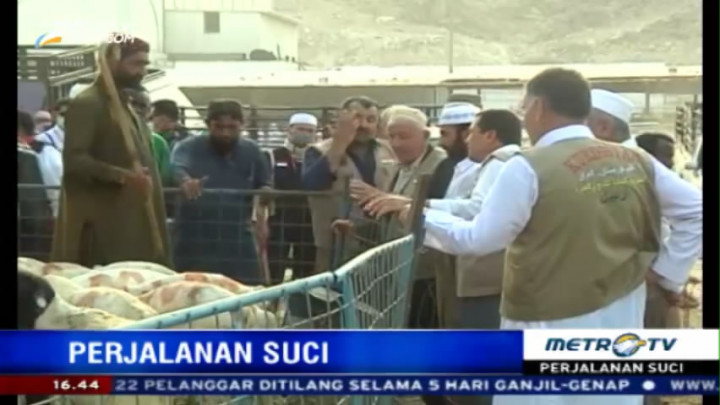 Jemaah Haji Tamattu Bayar Dam Lewat Kurban