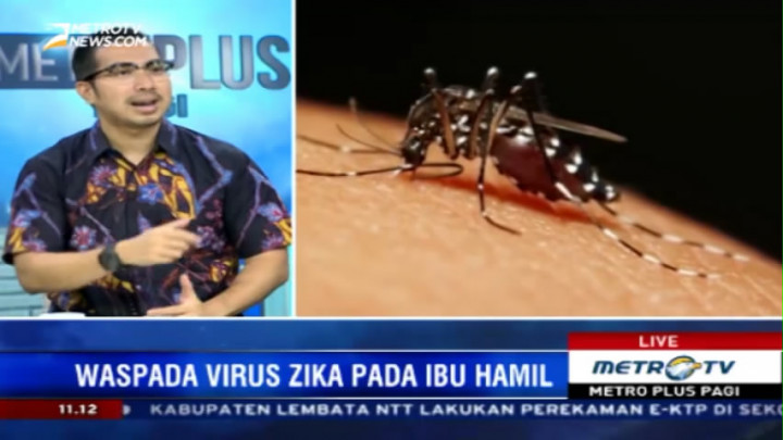 Waspada Zika, Ibu Hamil Hindari Gigitan Nyamuk