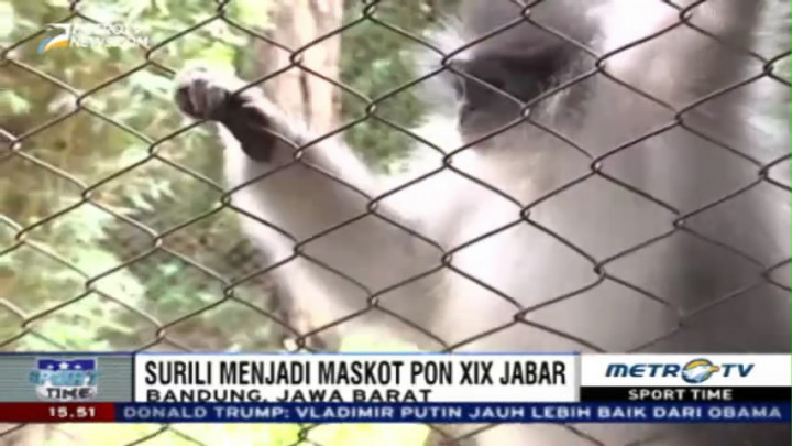 Mengenal Surili, Maskot PON XIX