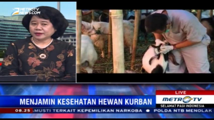 Tips Membeli Hewan yang Layak Kurban