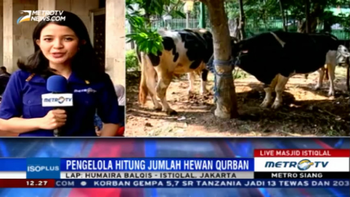 Jokowi Kurban Sapi Seberat 1,5 Ton di Masjid Istiqlal