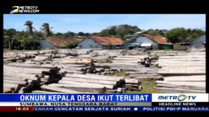 Kepala Desa Sempe Diduga Terlibat Kasus Pembalakan Liar