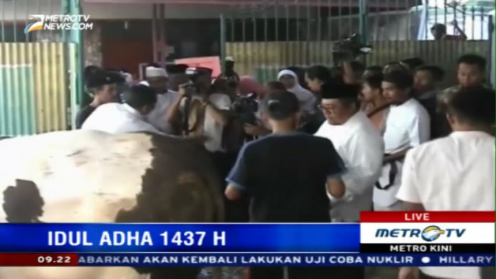 Aher Sembelih Sapi Kurban Jokowi di Bandung