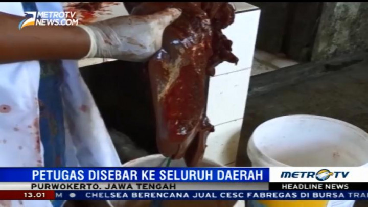 Petugas Sita Belasan Kilogram Hati Sapi Mengandung Cacing Hati