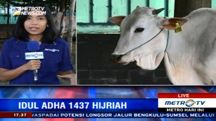 41 Ekor Hewan Kurban akan Disembelih di Masjid Istiqlal