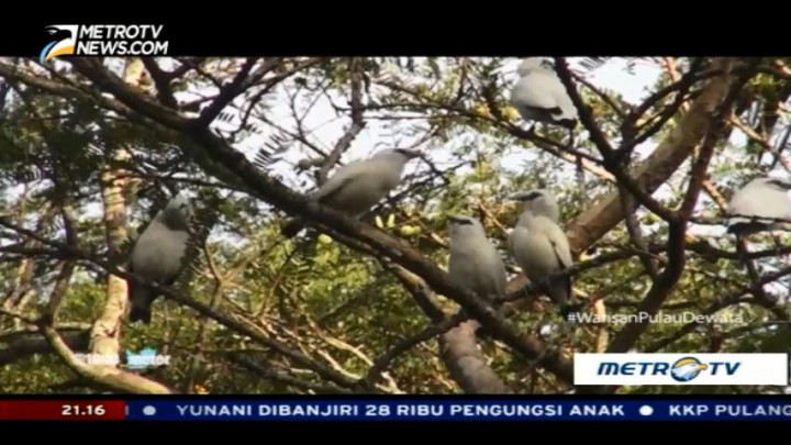 Warisan Alam di Ujung Barat Pulau Dewata (2)
