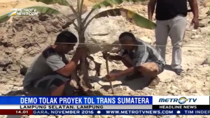 Tolak Tol Trans Sumatera, Warga Bakauheni Tanam Pohon di Jalan