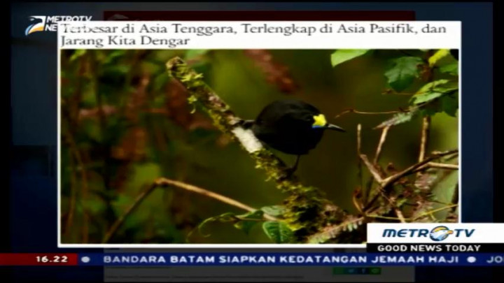 Keistimewaan Taman Nasional Lorentz di Papua