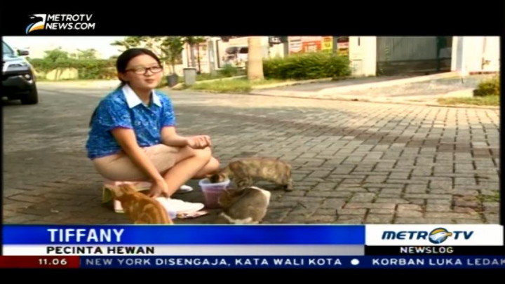 Aksi Murid SMP Merawat Kucing Liar