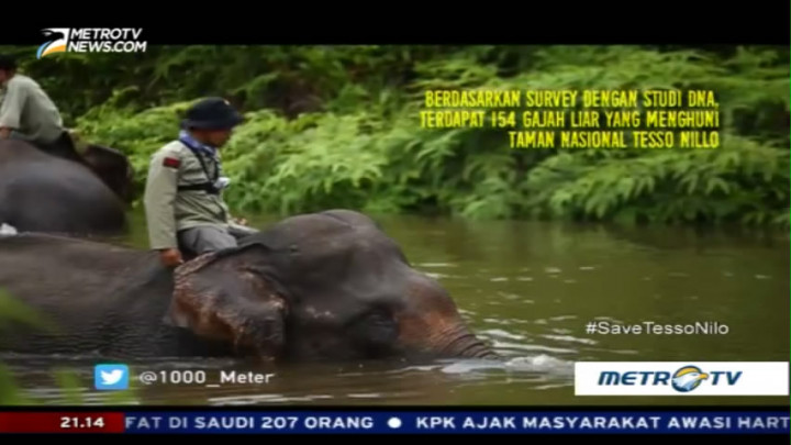 Menjaga Marwah Petalangan (2)