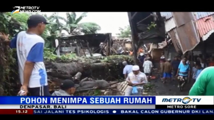 Pohon Tumbang Timpa Rumah, Satu Balita Tewas