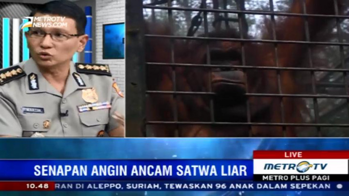 Membunuh Satwa Liar Bisa Dipidana Hingga 10 Tahun