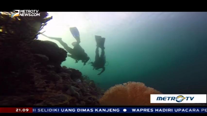 Surga Bahari di Tanah Wakatobi (3)