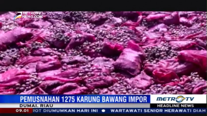 Bawang Merah Ilegal Asal Malaysia Dimusnahkan