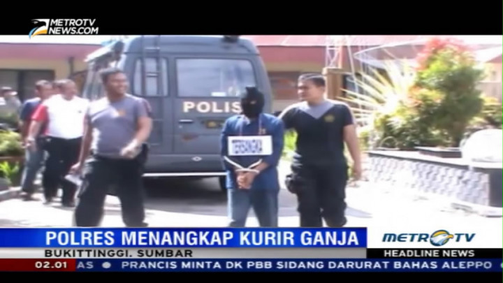 Polisi Tangkap Kurir Ganja di Bukittinggi
