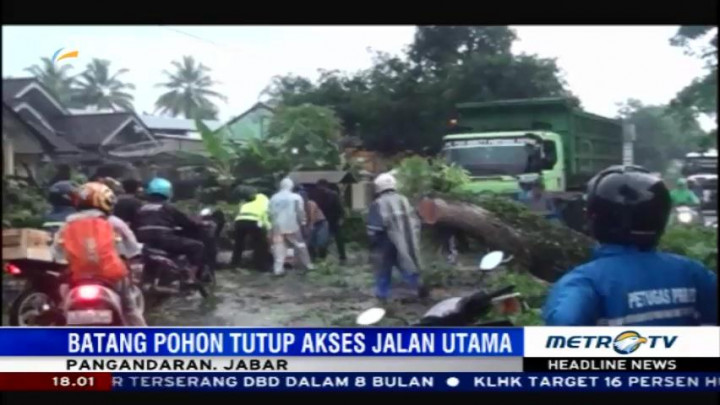Akses Jalan Utama Pangandaran-Tasikmalaya Terputus Akibat Pohon Tumbang