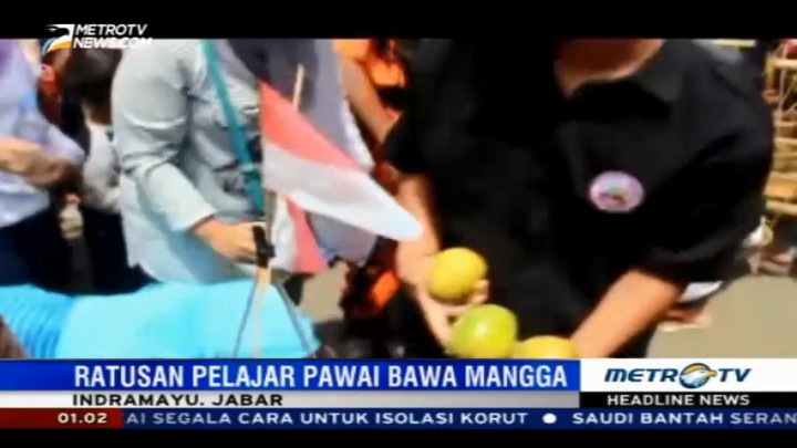 Ribuan Warga Berebut Mangga Gratis di Festival Cimanuk