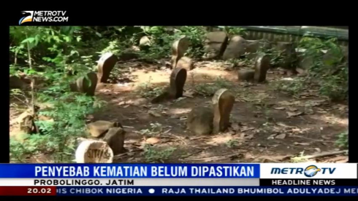 Polisi Curigai Tiga Makam di Sekitar Padepokan Dimas Kanjeng
