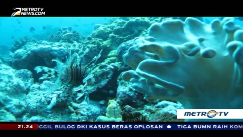 Pelangi di Sudut Belitung (3)