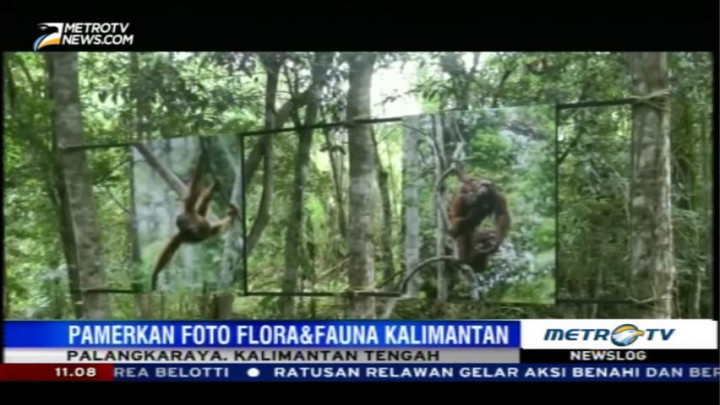 Uniknya Pameran Foto Flora Fauna di Alam Bebas