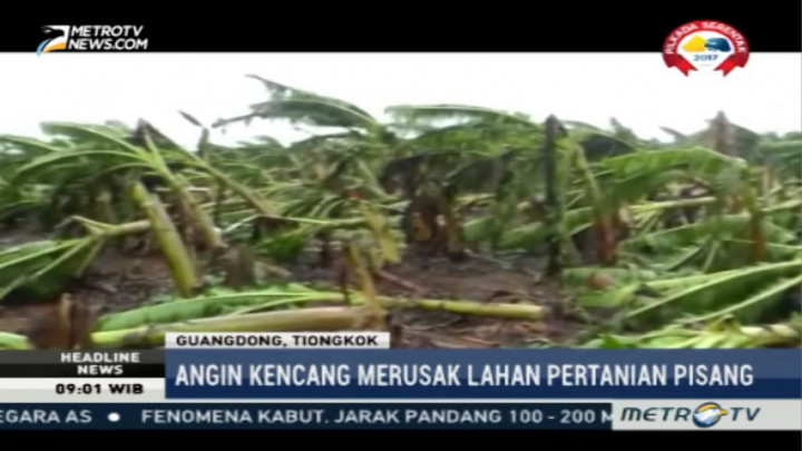 Topan Sarika Rusak Lahan Pertanian di Tiongkok