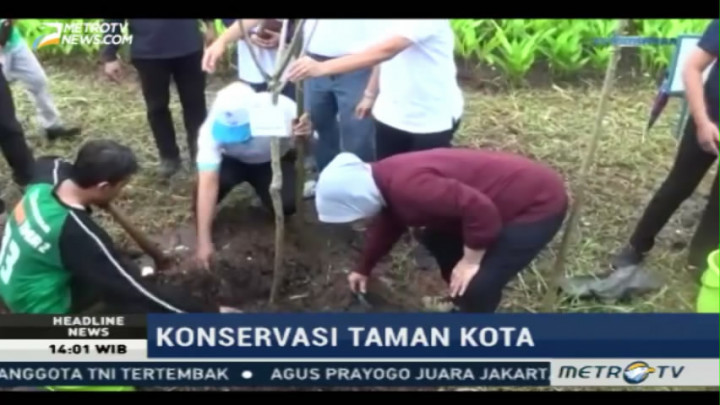 Risma Ikut Tanam 7 Ribu Bibit Pohon di Taman Harmoni
