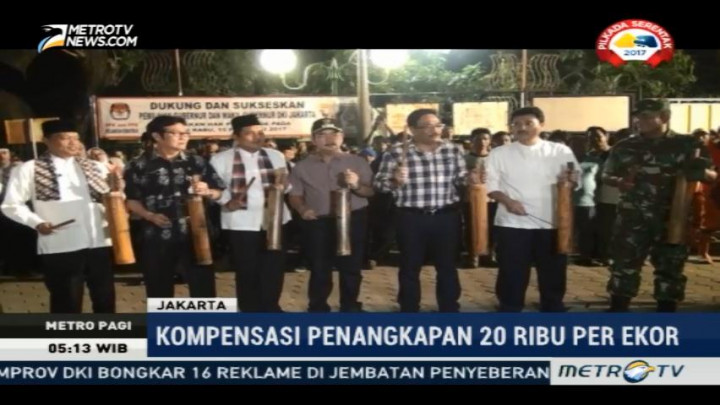 Djarot Canangkan Gerakan Basmi Tikus