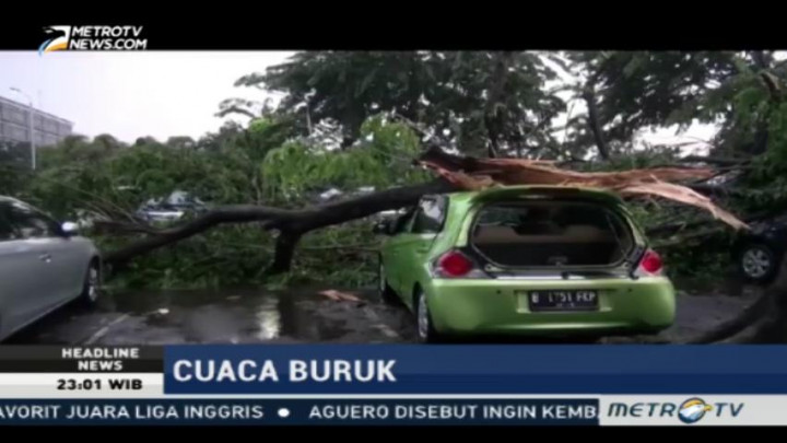 Pohon Tumbang Timpa Puluhan Mobil di Senayan