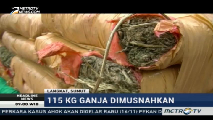 Polres Langkat Musnahkan 115 Kg Ganja