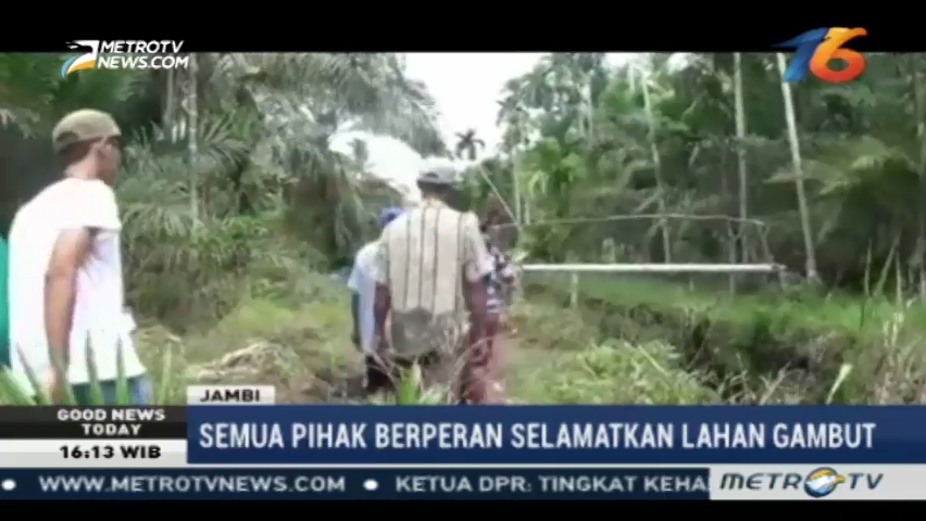 Lindungi Lahan Gambut Kini Hingga Nanti