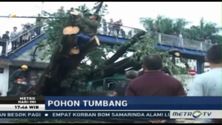Pohon Tumbang di Bandung Timpa Sebuah Mobil