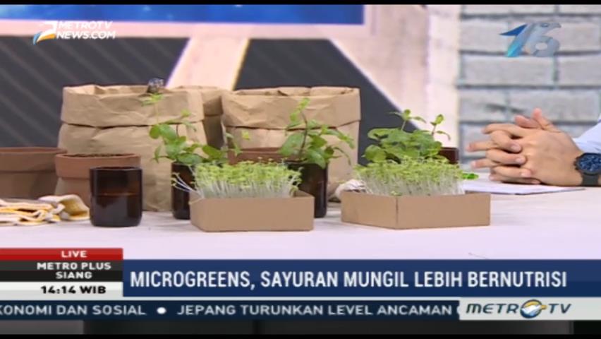 Microgreens, Sayuran Mungil Lebih Bernutrisi (1)