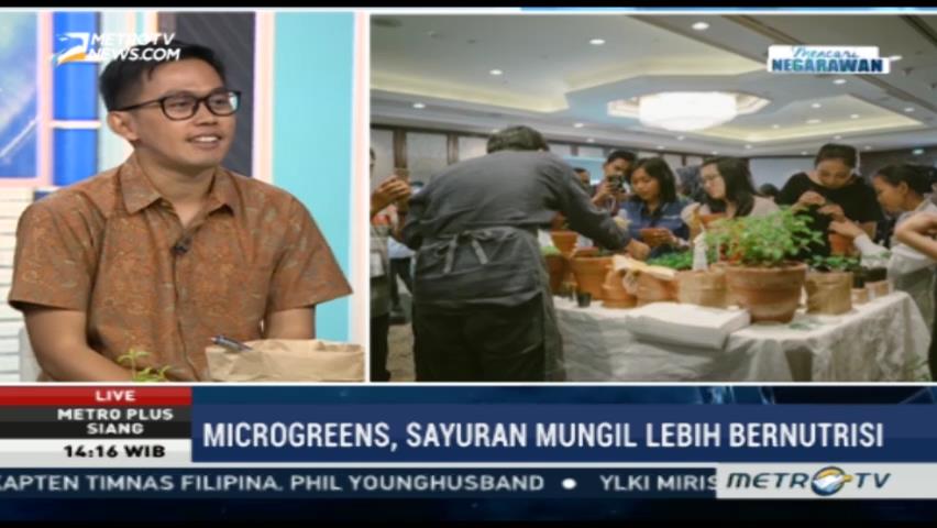 Microgreens, Sayuran Mungil Lebih Bernutrisi (2)