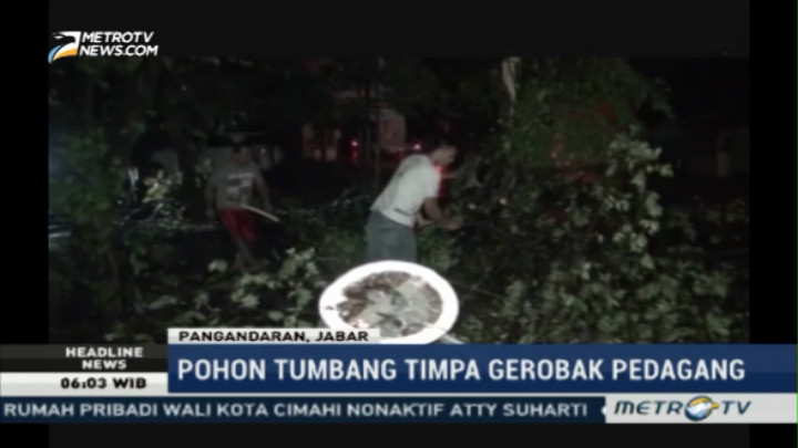 Angin Kencang di Pangandaran, Pohon Tumbang Timpa Gerobak Pedagang